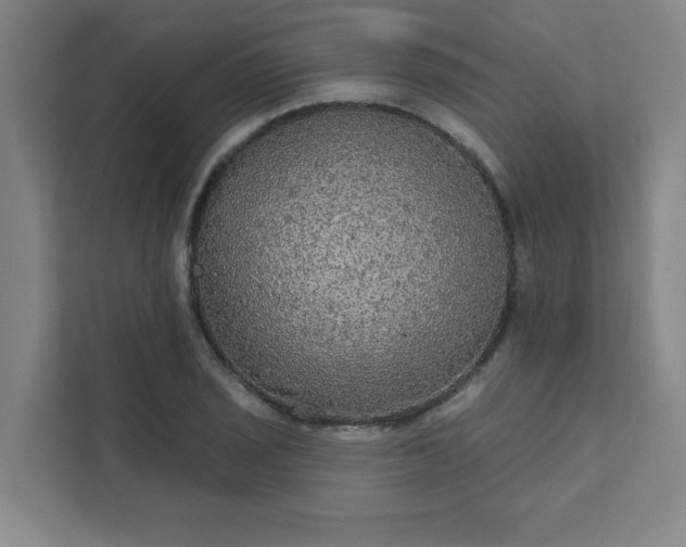 X0000111421029200907201043