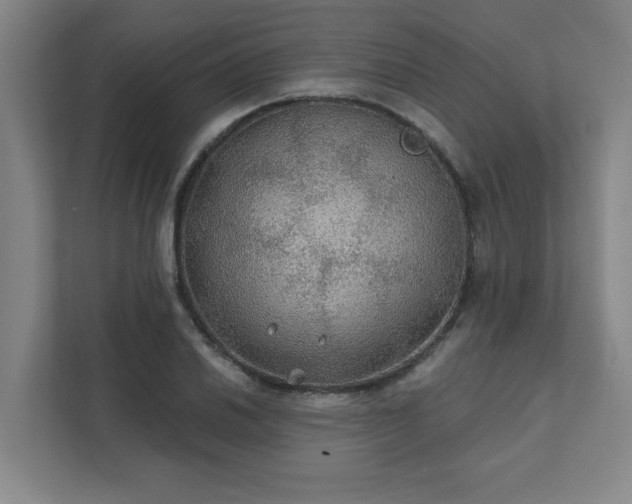 X0000111421030200907201043