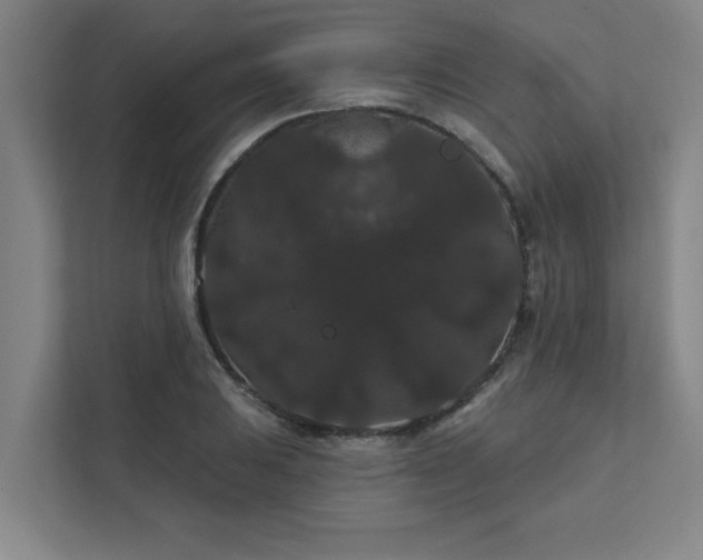 X0000111421031200907201043