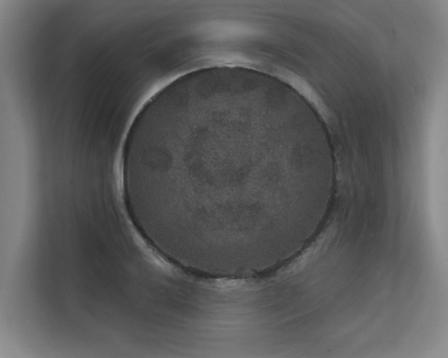 X0000111421032200907201043