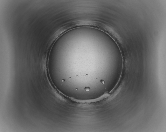 X0000111421033200907201043