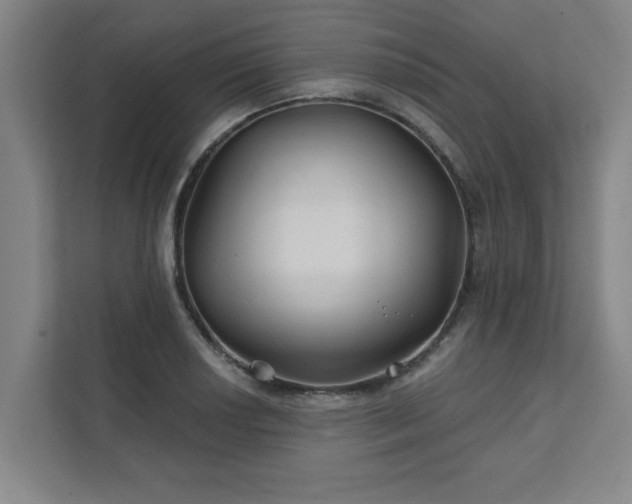 X0000111421034200907201043