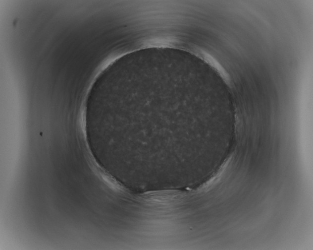 X0000111421035200907201043