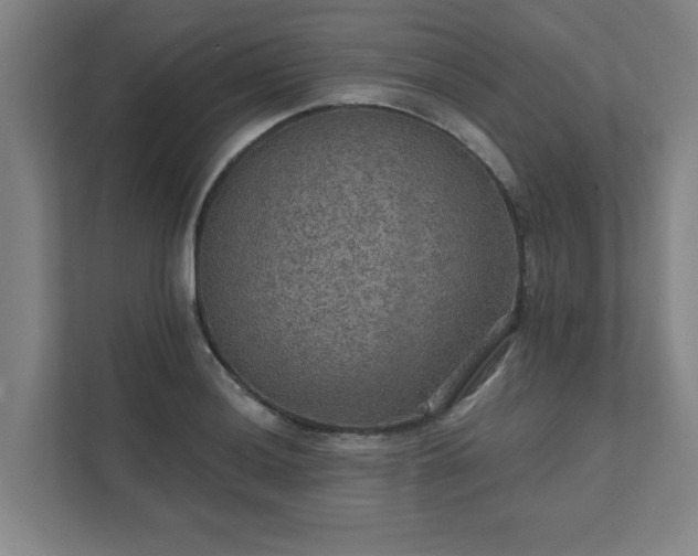 X0000111421036200907201044