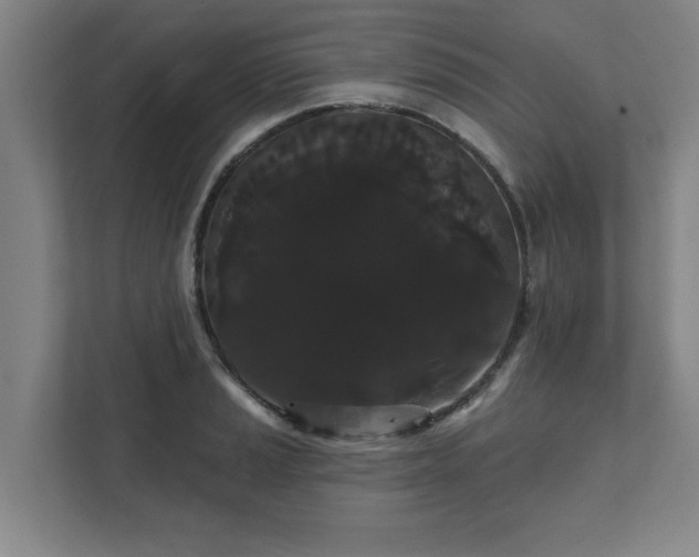 X0000111421037200907201044