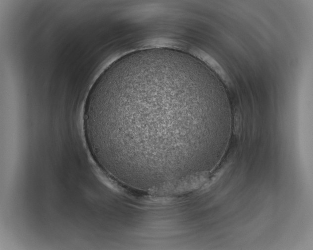 X0000111421039200907201044