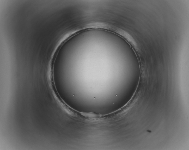 X0000111421040200907201044