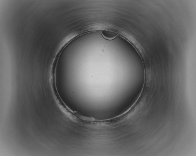 X0000111421042200907201044