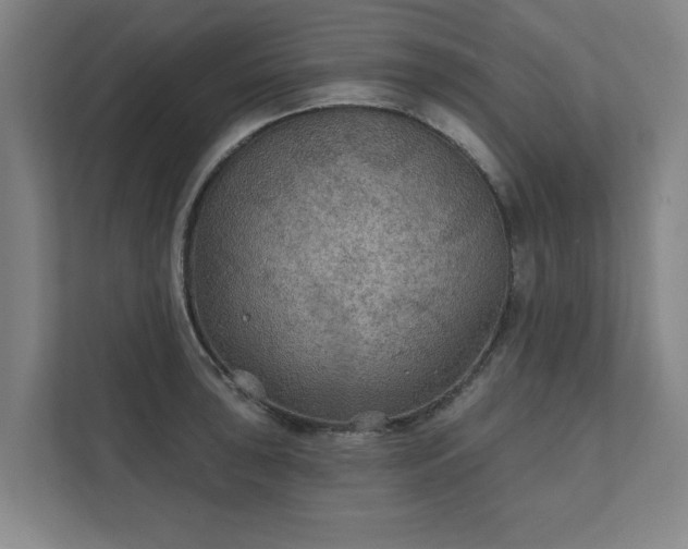 X0000111421043200907201044