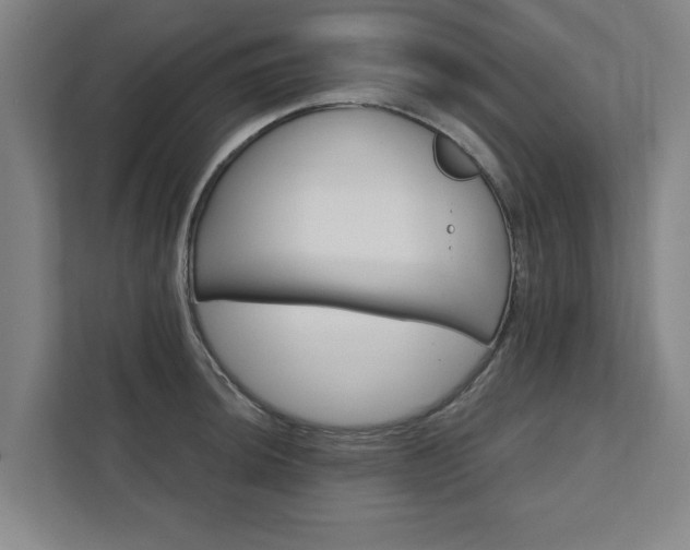 X0000111421044200907201044