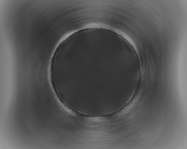 X0000111421045200907201044