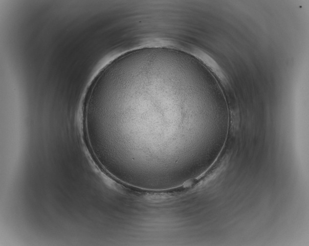 X0000111421046200907201044