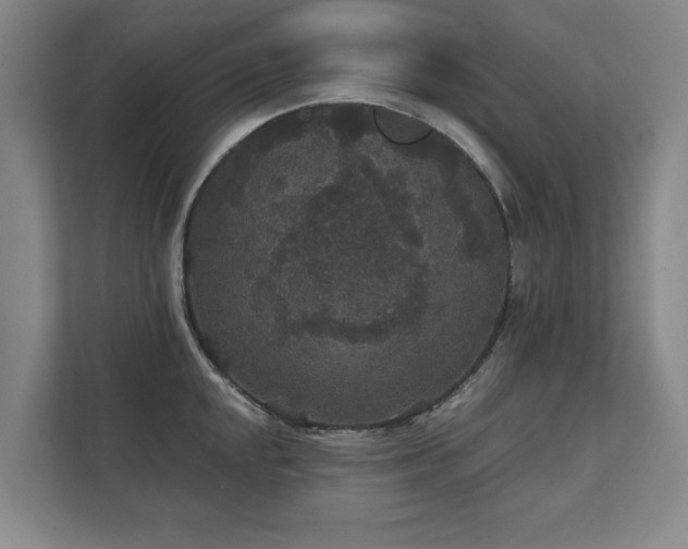 X0000111421048200907201044