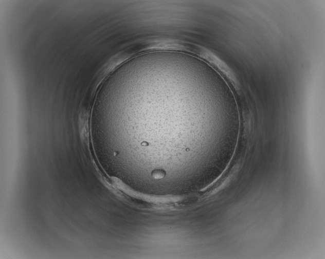 X0000111421049200907201044