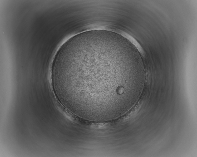 X0000111421051200907201044