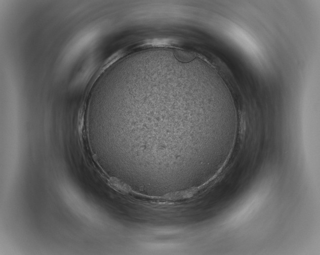 X0000111421052200907201044