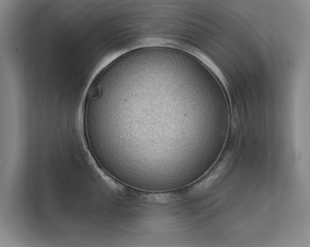 X0000111421053200907201044