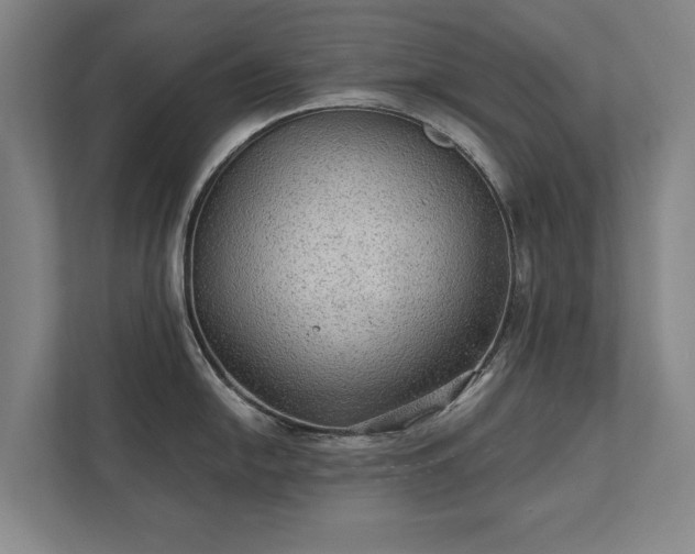 X0000111421054200907201044