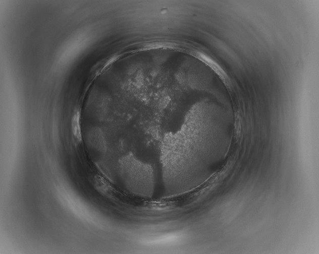 X0000111421055200907201044