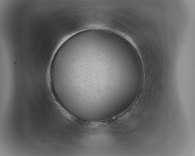 X0000111421056200907201044