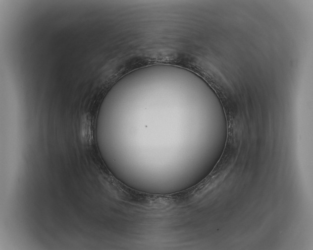 X0000111421058200907201043