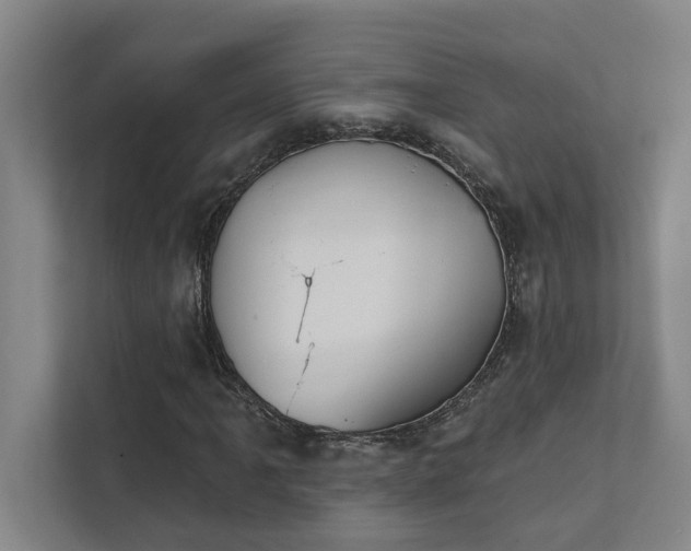 X0000111421061200907201043