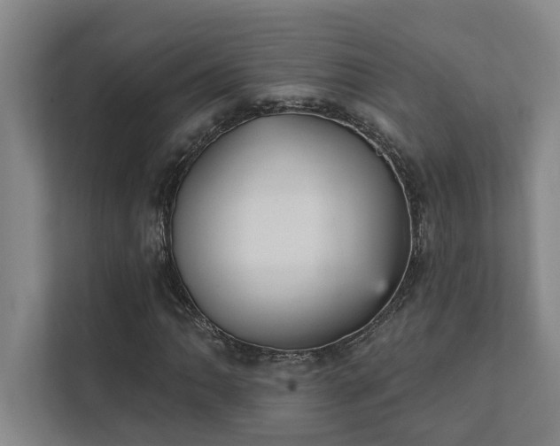 X0000111421062200907201043