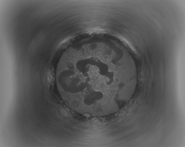 X0000111421063200907201043