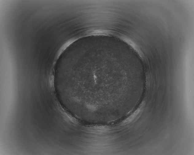 X0000111421066200907201043