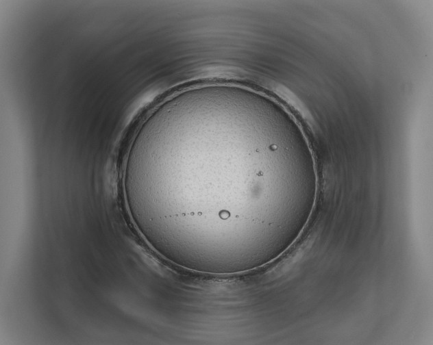 X0000111421067200907201043