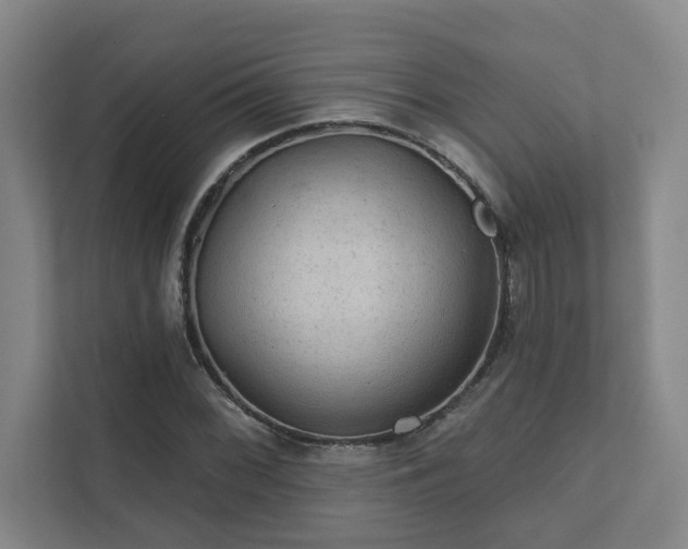 X0000111421068200907201043