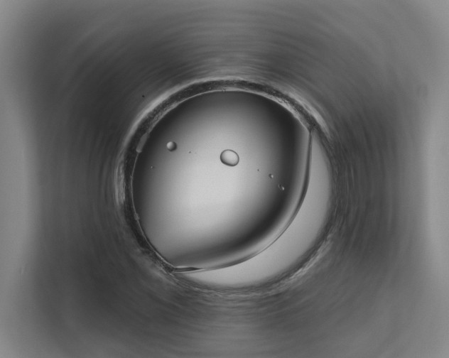 X0000111421069200907201043