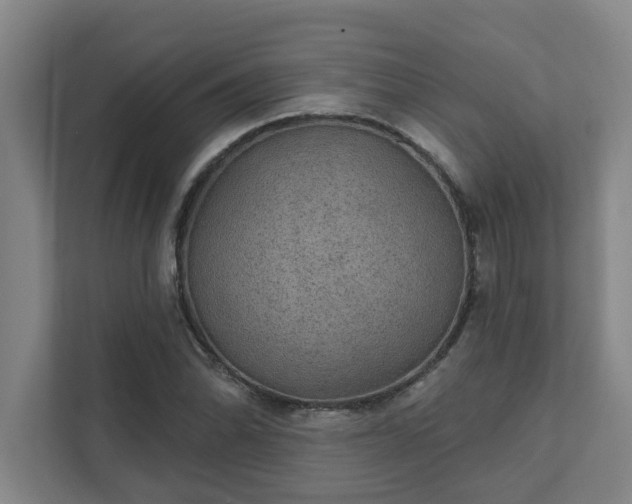 X0000111421070200907201043