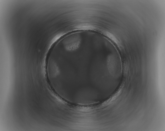 X0000111421071200907201043