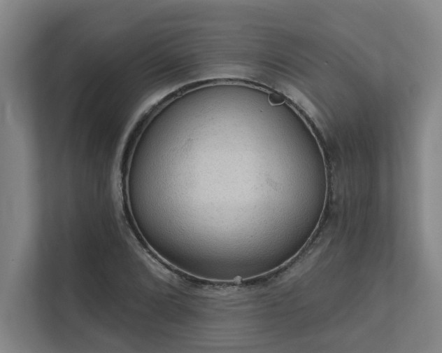 X0000111421072200907201043