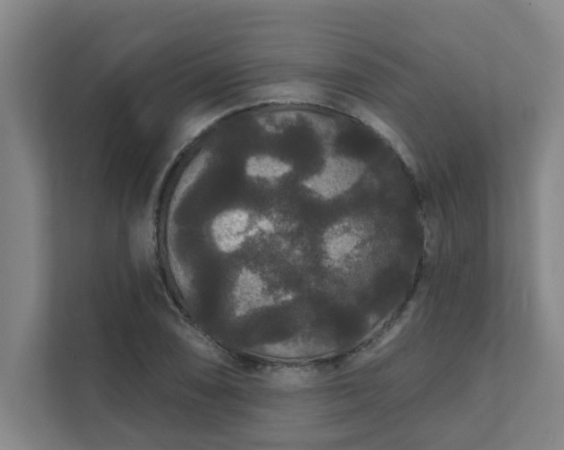 X0000111421074200907201043