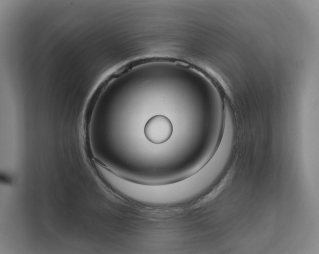 X0000111421077200907201043