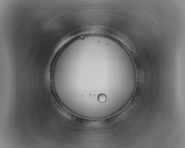 X0000111421078200907201043