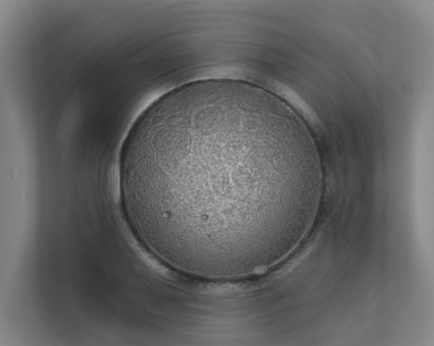 X0000111421079200907201043