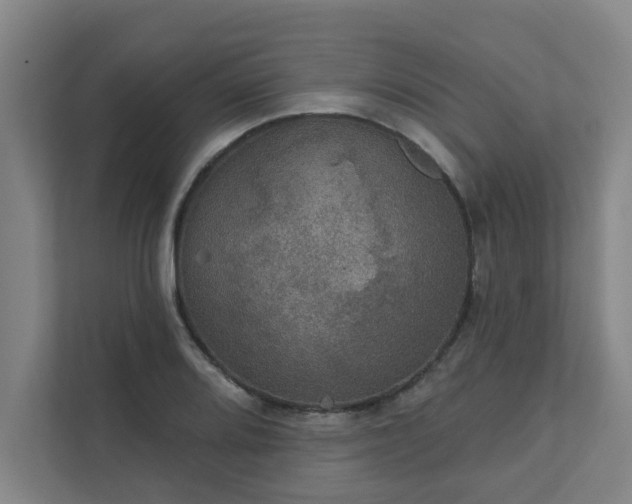 X0000111421080200907201043