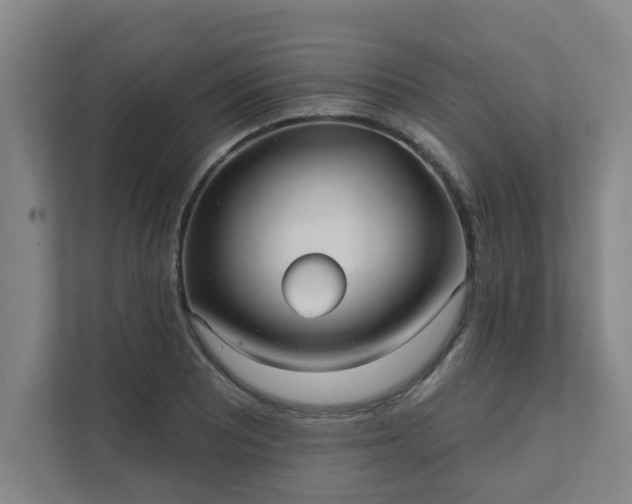 X0000111421081200907201043