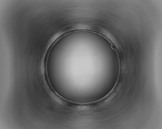 X0000111421082200907201043