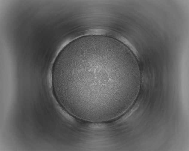 X0000111421083200907201043