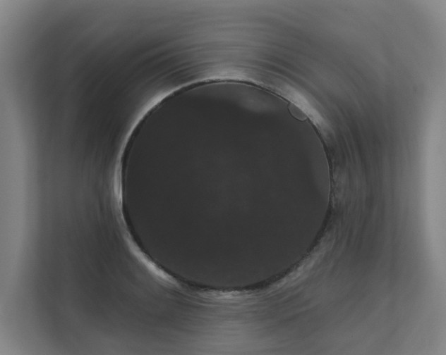 X0000111421084200907201043