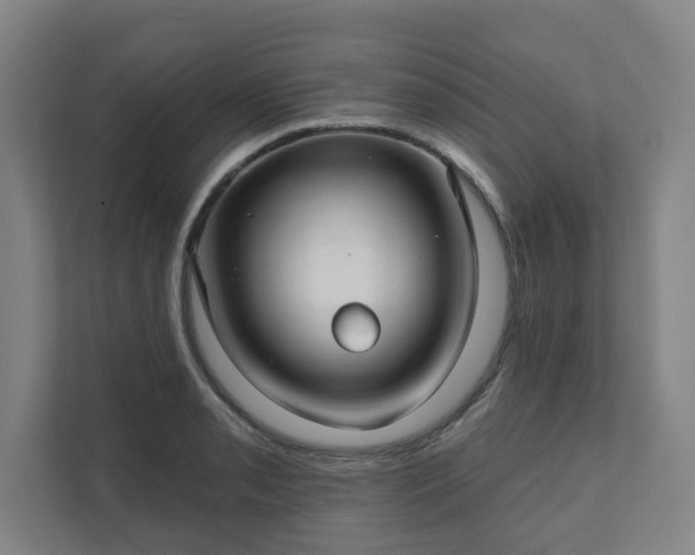 X0000111421085200907201043