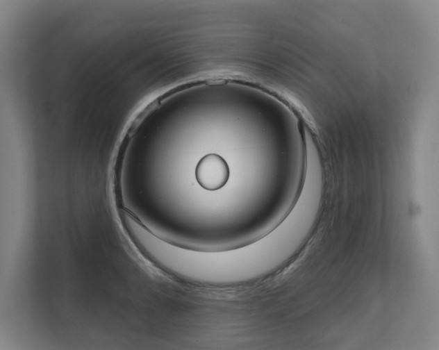 X0000111421086200907201043