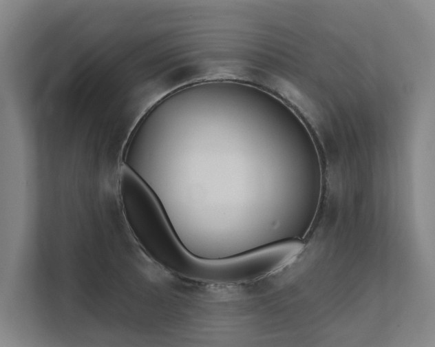 X0000111421089200907201043