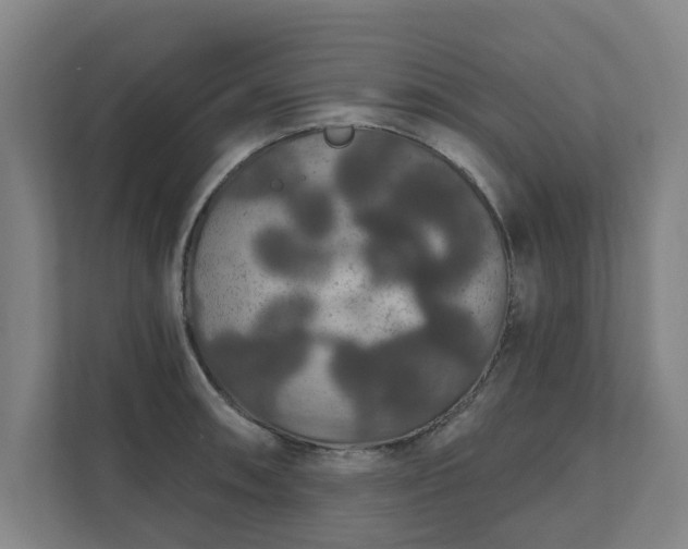 X0000111421090200907201043