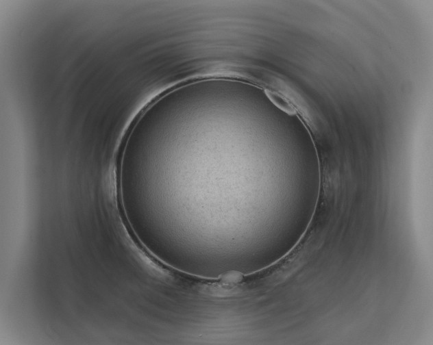 X0000111421092200907201043