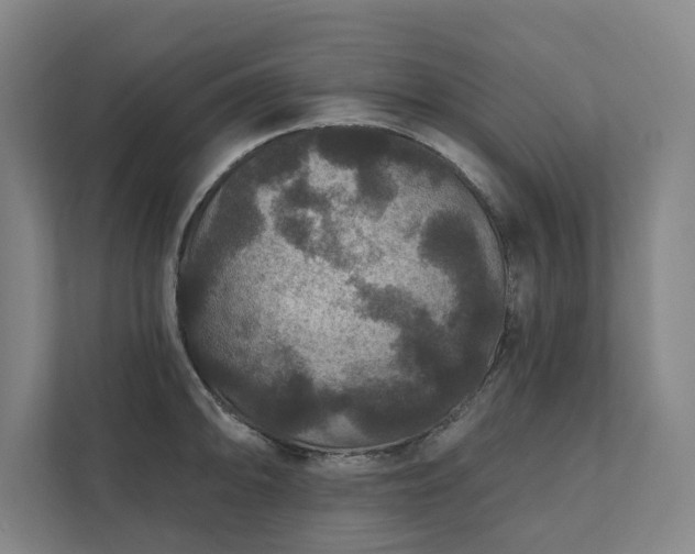 X0000111421094200907201043